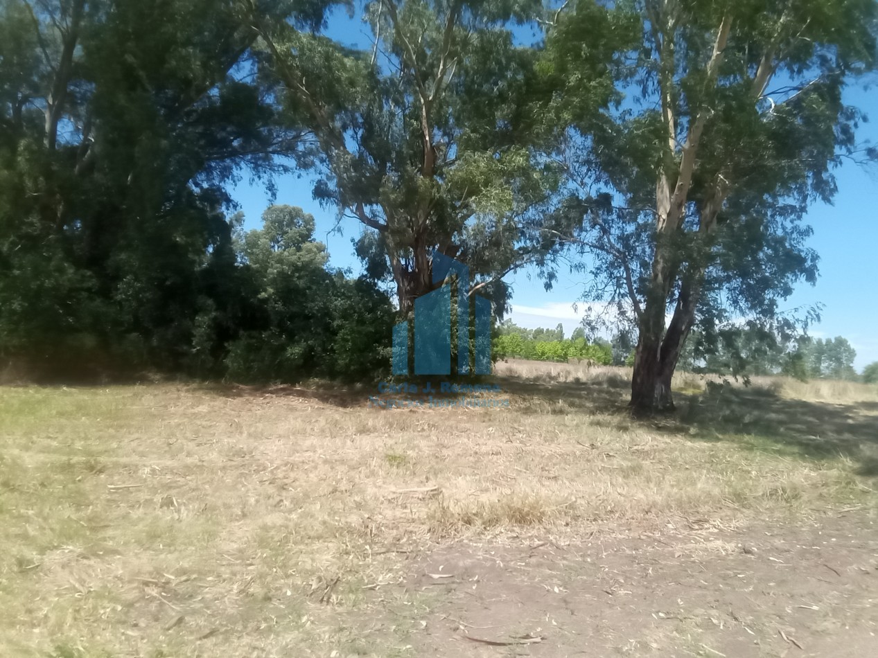 VENTA LOTE BARRIO EL SOLAR, AGUSTIN FERRARI, MERLO 