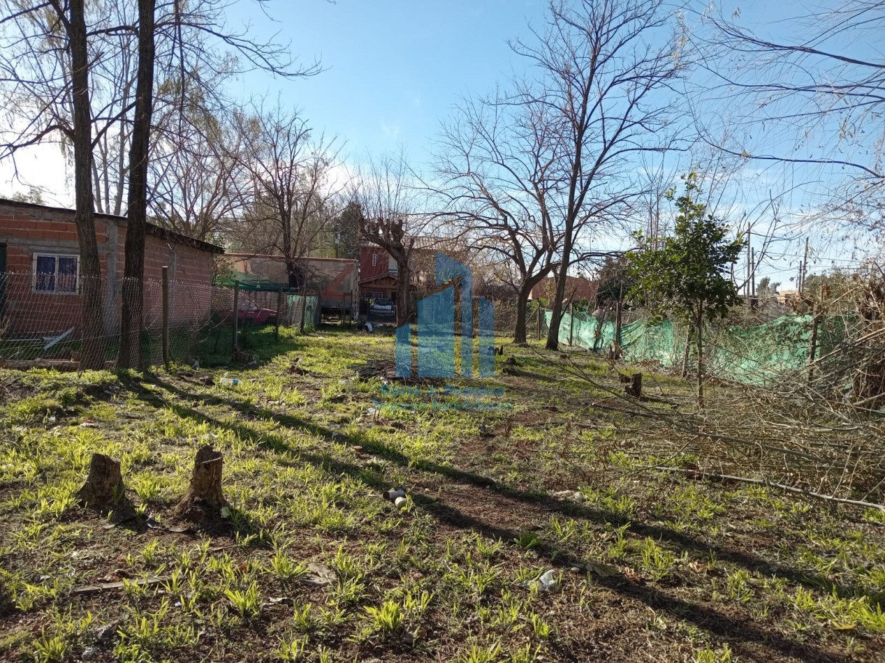 VENTA LOTE EN GRAL. RODRIGUEZ