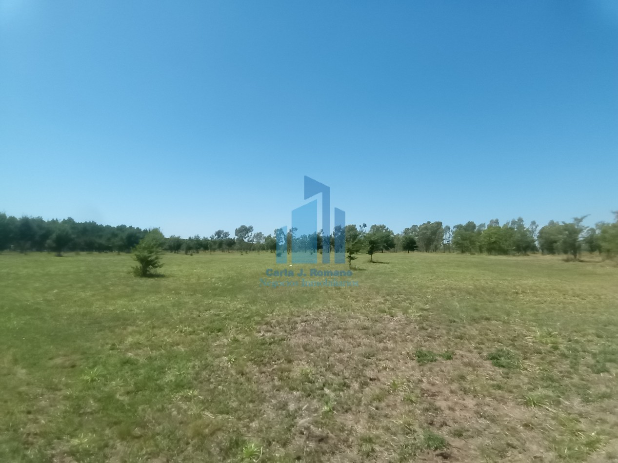 VENTA LOTE EN MARCOS PAZ