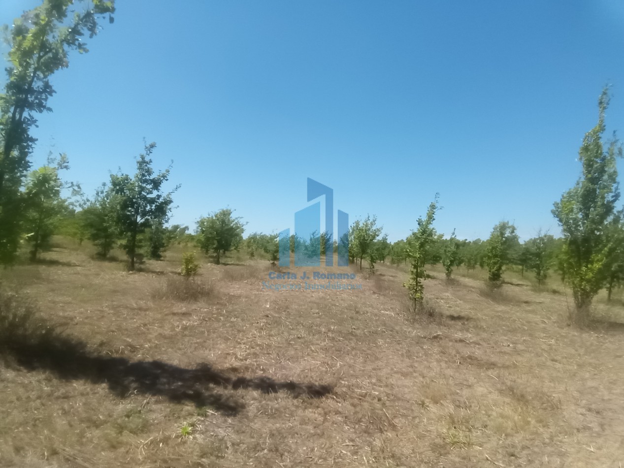 VENTA LOTE EN MARCOS PAZ