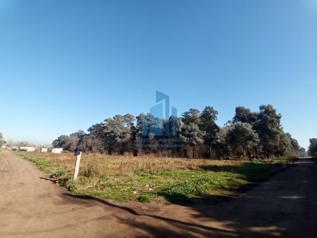 VENTA LOTE EN GRAL. RODRIGUEZ