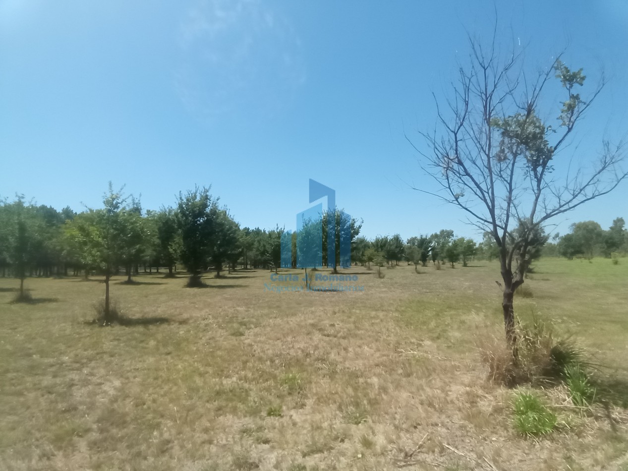 VENTA LOTE EN MARCOS PAZ