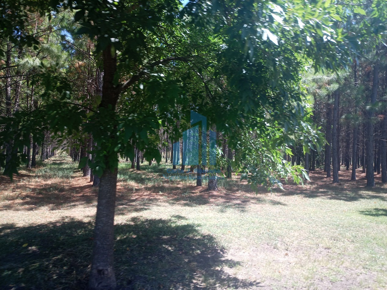 VENTA LOTE EN BARRIO CERRADO EN MARCOS PAZ