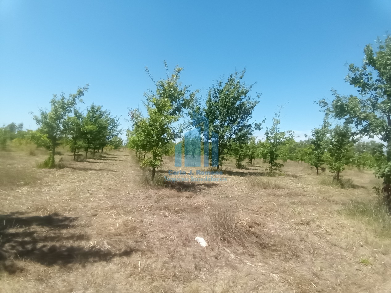 VENTA LOTE EN BARRIO CERRADO EN MARCOS PAZ