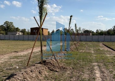 VENTA LOTE EN BARRIO CERRADO CACTUS, MARIANO ACOSTA MERLO